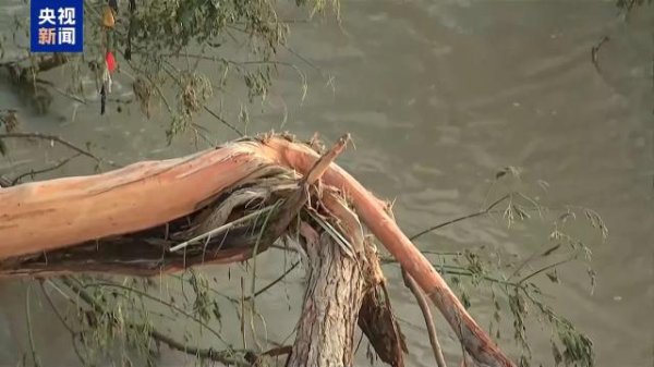 短线免息配资炒股 美国得州洪灾仍有超170人下落不明，暴雨再袭致搜救暂停