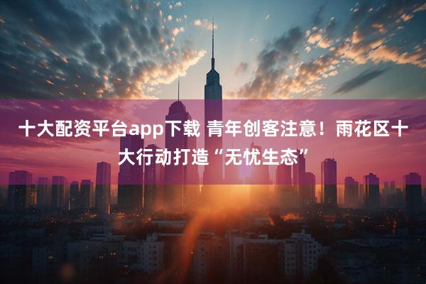 十大配资平台app下载 青年创客注意!雨花区十大行动打造“无忧生态”