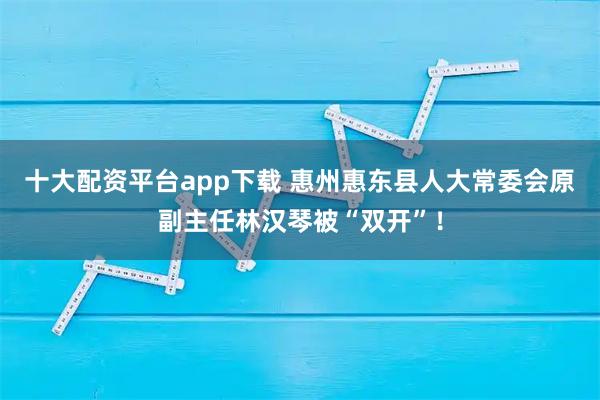 十大配资平台app下载 惠州惠东县人大常委会原副主任林汉琴被“双开”！