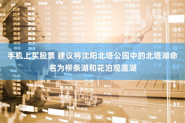 手机上买股票 建议将沈阳北塔公园中的北塔湖命名为柳条湖和花泊观莲湖