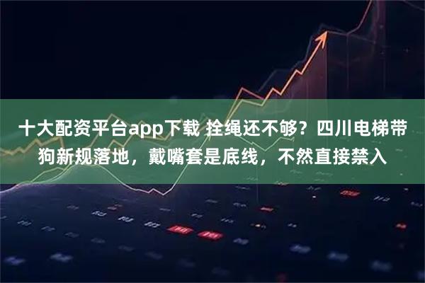 十大配资平台app下载 拴绳还不够？四川电梯带狗新规落地，戴嘴套是底线，不然直接禁入
